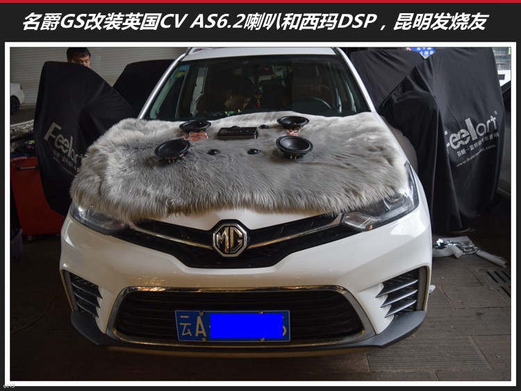 GS܇푸bӢCVȺDSPl܇